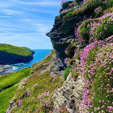 Polrunny Farm Blackberry Cottage - Cornwall Bliss In Sight Of The Sea บอสคาสเซิล ภายนอก รูปภาพ