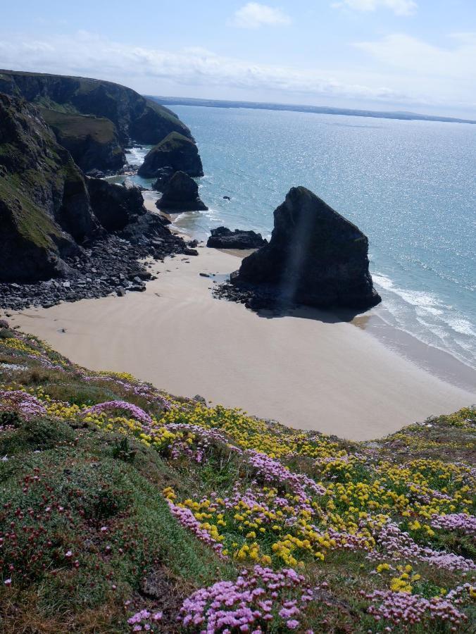 Polrunny Farm Blackberry Cottage - Cornwall Bliss In Sight Of The Sea บอสคาสเซิล ภายนอก รูปภาพ