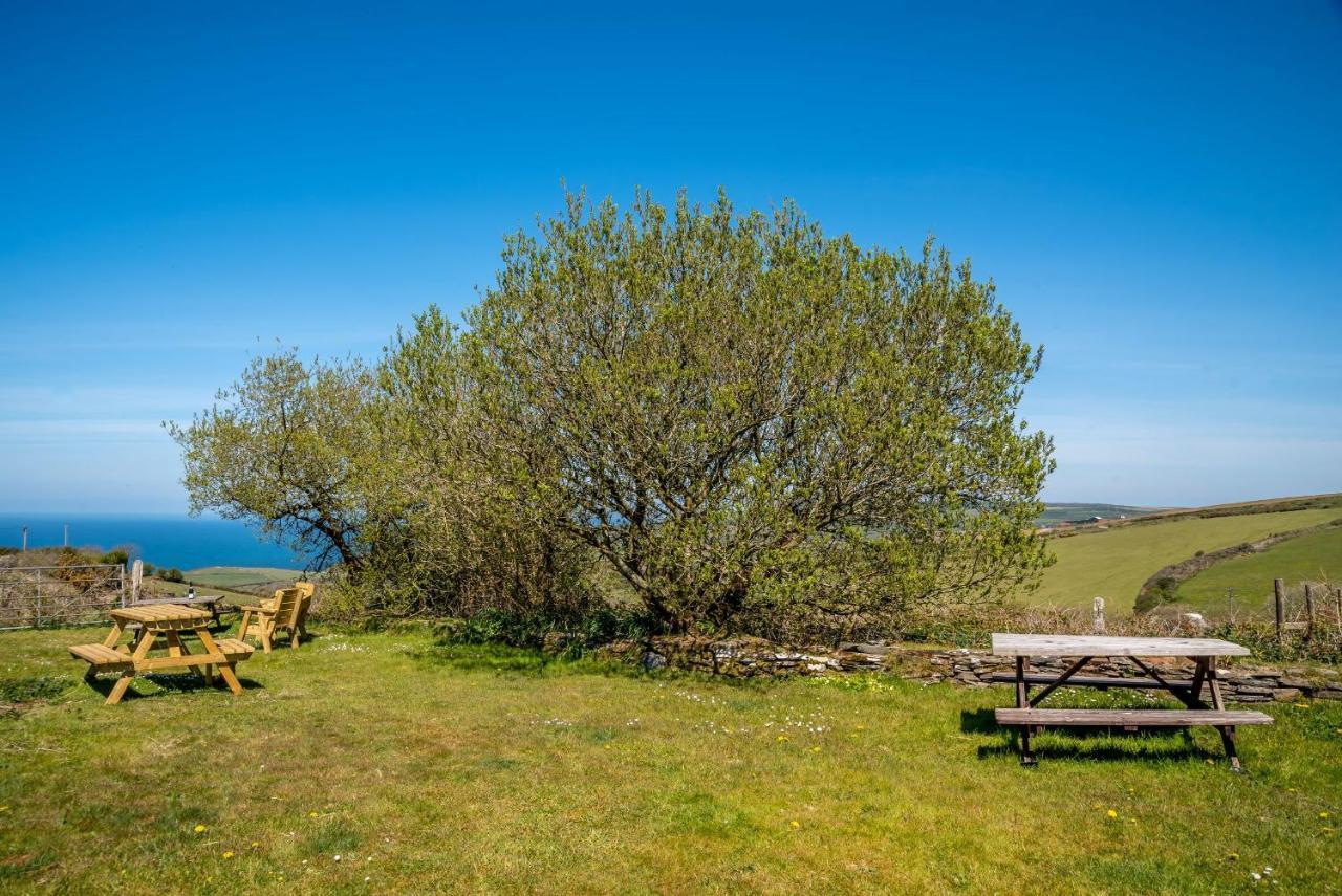 Polrunny Farm Blackberry Cottage - Cornwall Bliss In Sight Of The Sea บอสคาสเซิล ภายนอก รูปภาพ