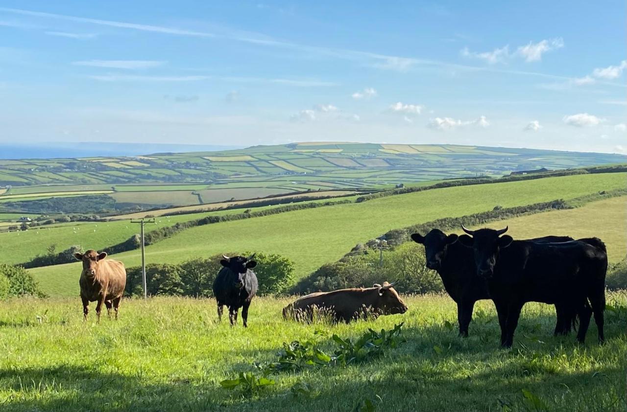 Polrunny Farm Blackberry Cottage - Cornwall Bliss In Sight Of The Sea บอสคาสเซิล ภายนอก รูปภาพ