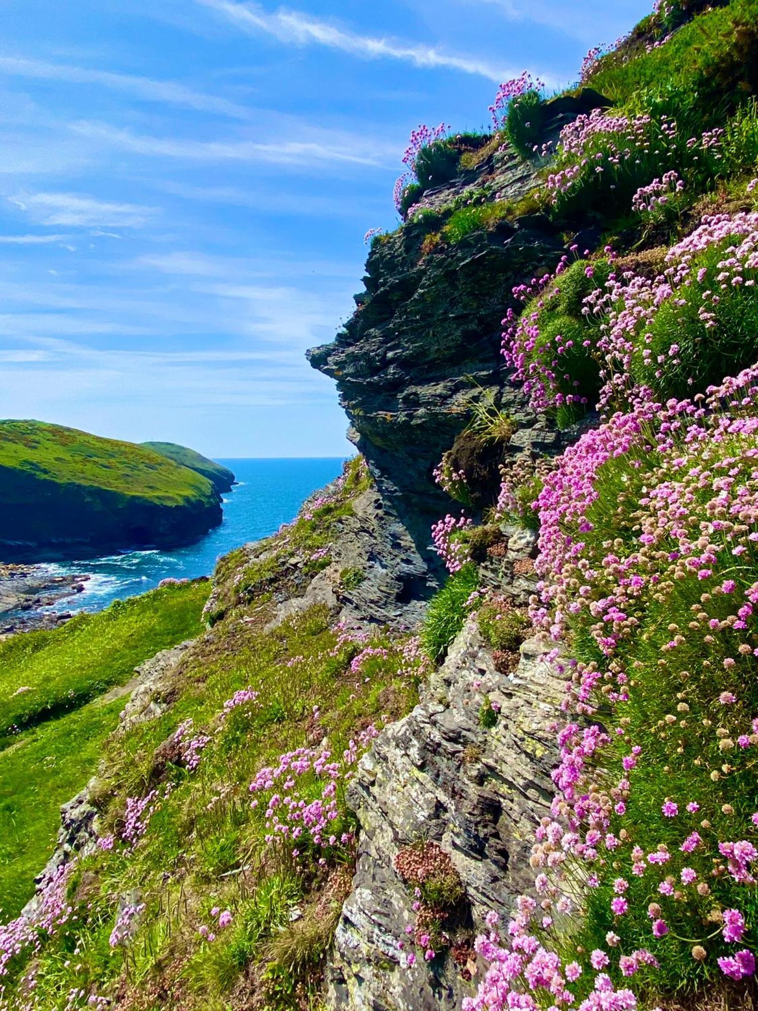 Polrunny Farm Blackberry Cottage - Cornwall Bliss In Sight Of The Sea บอสคาสเซิล ภายนอก รูปภาพ